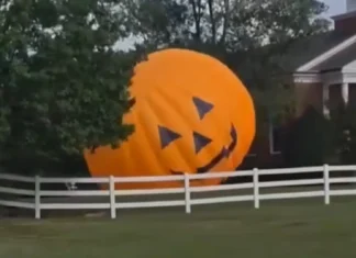 Higanteng ‘inflatable pumpkin’ sa North Carolina, miligid sa tunga sa dalan human mapalid sa hangin