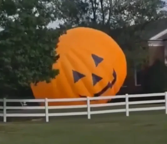 Higanteng ‘inflatable pumpkin’ sa North Carolina, miligid sa tunga sa dalan human mapalid sa hangin