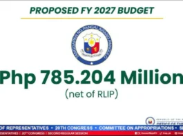 Proposed budget sa OVP alang sa 2027, lusot na sa Senate Finance Committee