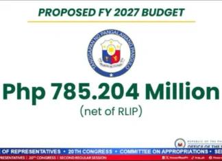 Proposed budget sa OVP alang sa 2027, lusot na sa Senate Finance Committee