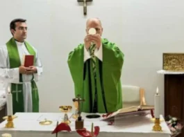 Pope Leo XIV nagpakita pag-usab sa publiko human sa usa ka malampusong operasyon.
