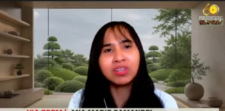 Mga Pilipino sa France, luwas taliwala sa nagkagrabeng protesta ug kagubot sa nasud