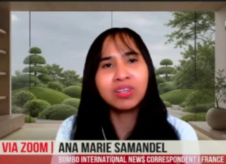 Mga Pilipino sa France, luwas taliwala sa nagkagrabeng protesta ug kagubot sa nasud