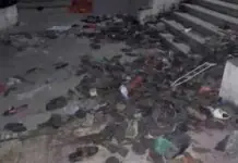 37 ka mga tawo, patay sa natabo nga stampede sa isa ka army recruitment center sa Republic of Congo