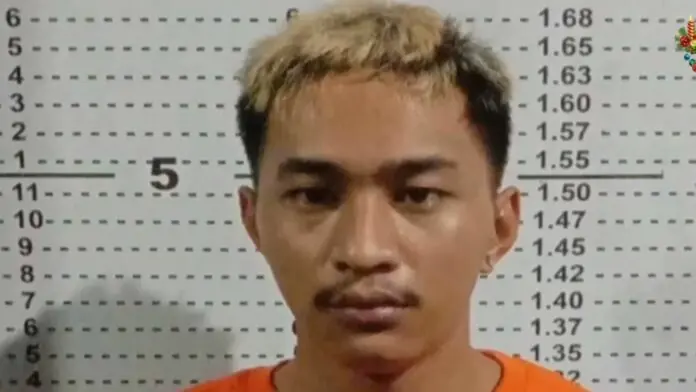 MANLAPUZ