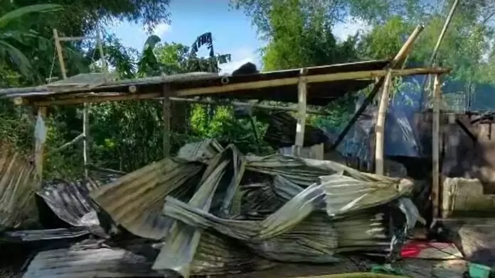 SUNOG SA SAMBAG
