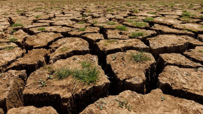 drought