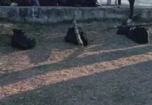 Tatlo ka mga rebelde nga napatay sa encounter sa San Joaquin, lunsay mga lalaki
