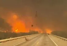 Wildfire subong sa Texas, nangin ikaduha na sa pinakadaku nga sunog sa maragtas sang state