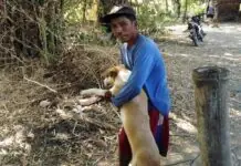 Iloilo Provincial Veterinarian, nagaapelar sa LGUs nga mag-hire sang barangay vaccinators may kaangtanan sa mass dog vaccination kontra sa Rabies