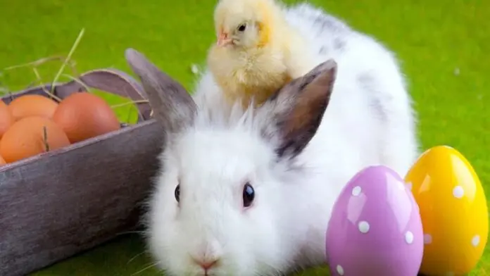 EASTER