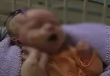 Iloilo Province, indi pa magdeklarar sang pertussis outbreak
