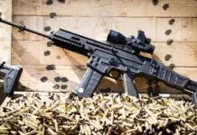 PNP, ginpasiguro nga indi man magtupa sa irresponsible gun owners ang semi-automatic rifles nga gintugutan nga mapanag-iyahan sang sibilyan