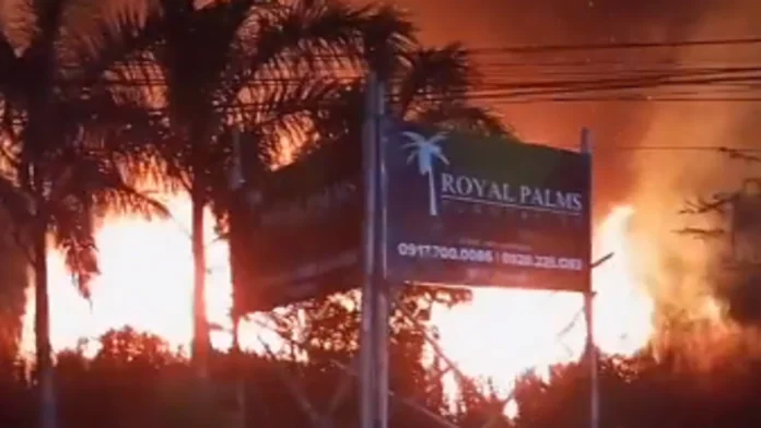 SUNOG SA ROYAL PALMS SA PAVIA