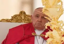 Pope Francis, ginlaktawan ang homily sa Palm Sunday mass