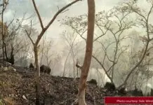 Porsyon sang Agony Hill sa Alimodian, nasunog
