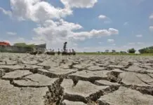 Kapierdehan sa agrikultura bangud sa El Niño, malapit na sa P4-B —DA