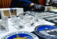 Mga buhi nga damang nga tuyo i-smuggle sa Pilipinas, nakumpiska sang Customs