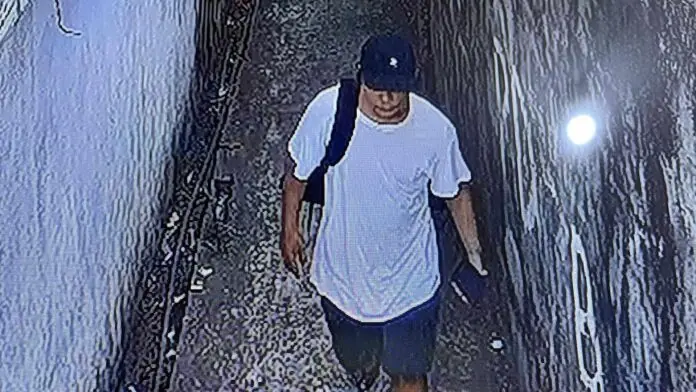 SUSPECT IN BOULEVARD CRIME