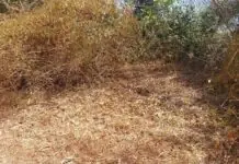 Babaye nga nasapwan nga patay sa Brgy. Tambong, Miagao, Iloilo sang nagligad nga Domingo, kumpirmado nga ginhimuslan