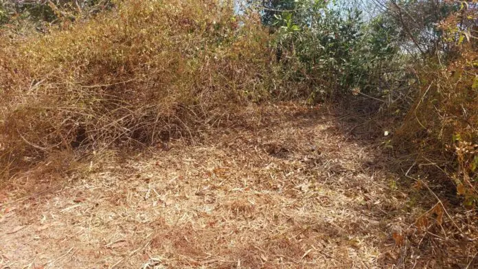 scene of the crime in miagao