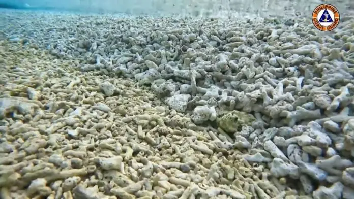 CORALS