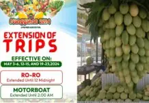 Schedule sang byahe sang sea vessels sa Guimaras, gin-adjust para sa Manggahan Festival