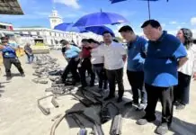 TTMO, ginpasigurado ang masangkad nga pagbantay sa motorista nga nagagamit sang modified muffler