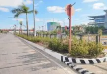 Iloilo City General Services Office (GSO), nag-umpisa na sang clearing sa Diversion Road, Iloilo City agud islan ang mga nagkalalaya nga tanum