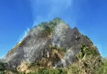 Sitwasyon sang mga amo kag agila sa Mt. Manaphag, Pan de Azucar Island, ginakahangaw-an, kasunod ang natabo nga sunog sa bukid