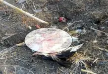 Aswang, wala sang labot sa pagpamatay sa mga sapat sa Janiuay, Iloilo