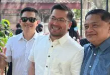 Nene dela Llana, handa mangin kabahin sang line- up ni Mayor Treñas