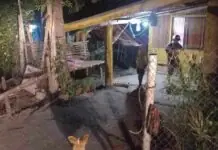 Lalaki nga nagakatulog, ginlabo sang iya kaingod-balay sa Cabatuan, Iloilo
