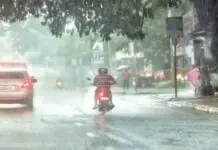 GSO, ginakabig nga dako nga bulig sa mga tanum ang pagtupa sang ulan sa Iloilo City