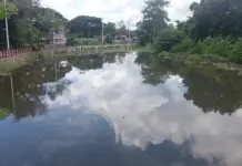 CENRO, nakakuha sang 48 cubic meters nga basura sa Dungon Creek