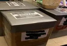 BOC, nagpanawagan sa mga OFW kag sa ila himata nga i-claim ang 294 ka mga balikbayan boxes