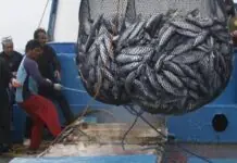 BFAR, wala ginakilala ang “no trespassing” policy sang China sa West Philippine Sea