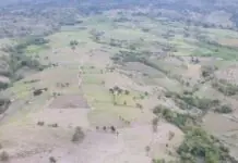 OCD, nagpatigayon sang aerial inspection kasunod sang paglupok sang Bulkan Kanlaon