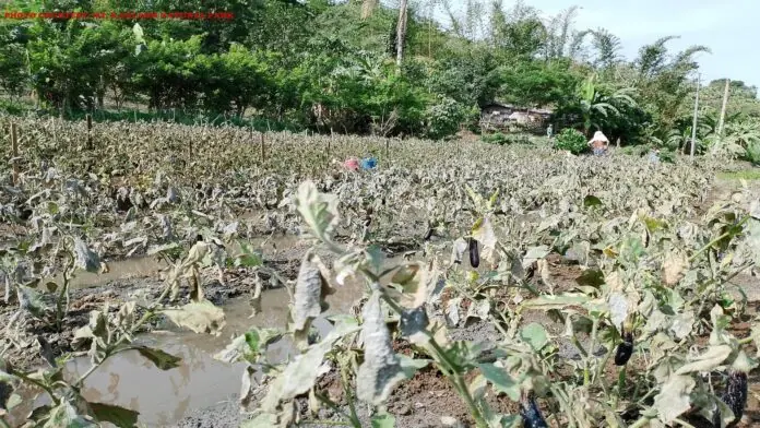 KANLAON