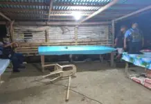 Isa ka estudyante, patay matapos ginbuno sang hubog nga lalaki samtang nagainom-inom