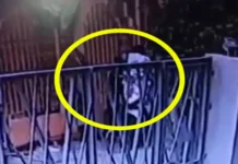 Lalaki nga suspek sa pagpatay sa LGBTQ member sa Jaro, ulihi nga nakit-an sa Loboc, La Paz base sa cctv footage