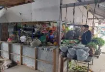 Pila ka mga talipapa vendors sa PD Monfort, Dumangas, nagakabalaka sa delay nga permit
