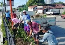 90-porsyento sa mga tanom sa Iloilo City, naka-recover sa halit nga dala sang El Niño Phenomenon
