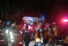 16 ka mga indibidwal pilason, matapos nga nadulaan sang preno ang ginasakyan nga van kag nahulog sa pil-as sa Brgy. Mali-ao, Leon, Iloilo