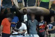 PNP, gina-imbestigaran kun may bag-o nga drug groups sa Western Visayas