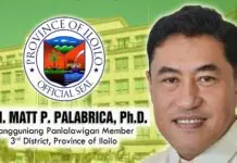 Pagbaligya sang gobyerno sang bugas sa P29 kada kilo, pabor sa konsumidor, disbentaha sa mga mangunguma–Board Member Palabrica