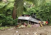 4 pilason, matapos nahulog ang truck sa pil-as sa Hamtic Antique
