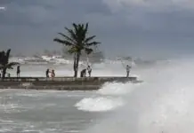 Pulo ka tawo, patay, kasunod sang paglaslas sang Hurricane Beryl sa Cayman Island kag Mexico