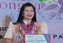Ano bala ang kabuhi sang isa ka solo parent?