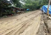 Tubungan Mayor Tacsagon, personal nga nasaksihan ang sitwasyon sang ginareklamo nga dalan sa Brgy. Sibucauan, Tubungan, Iloilo